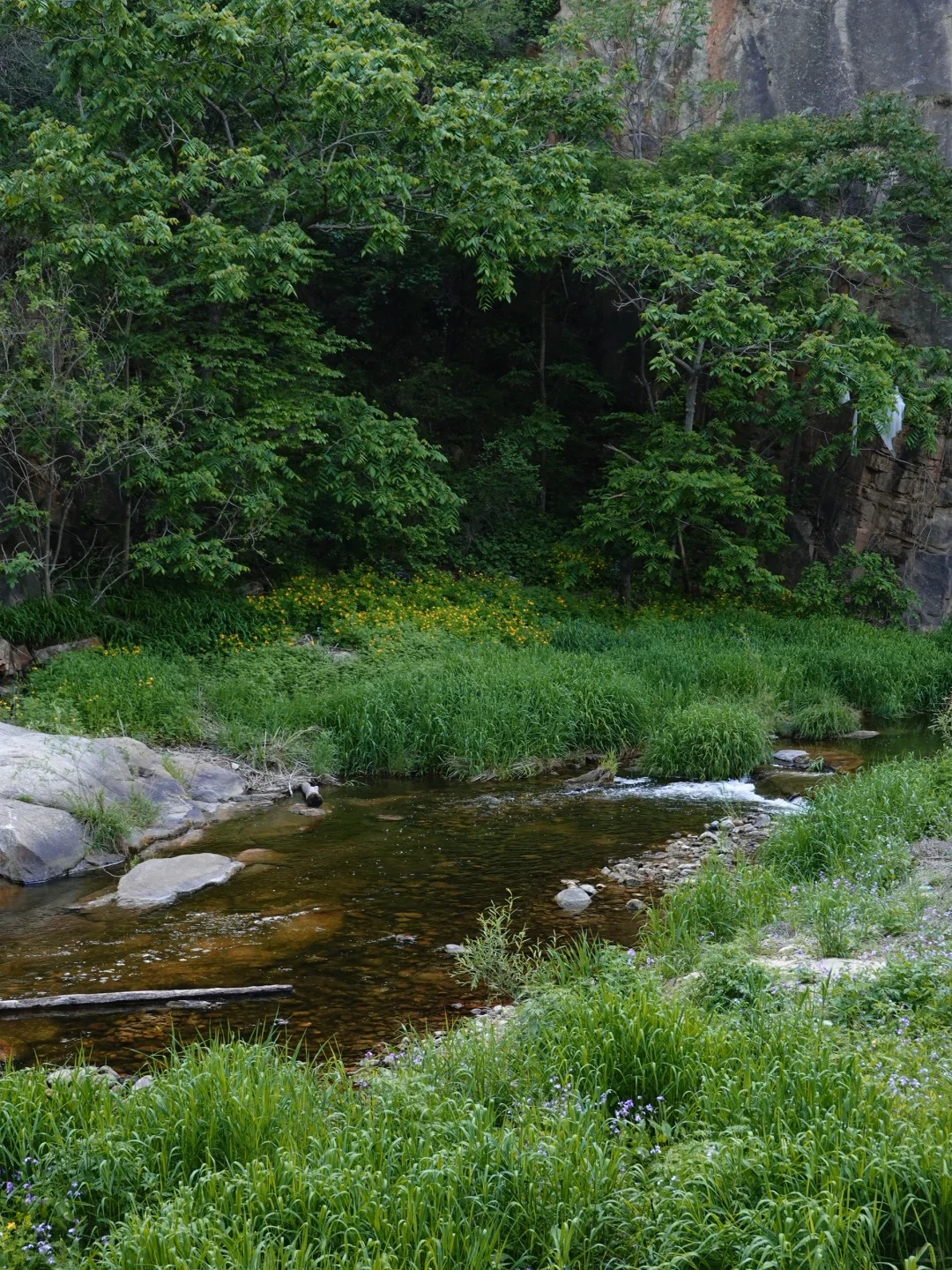 京郊徒步🌿神堂峪栈道8km轻徒步🧱山水长城_5_墨点子_北京郊区-来自52tours 我爱旅游网